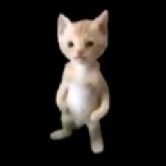 meowmeowmeowmeowmeowmeow