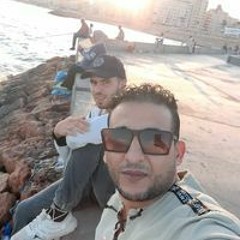 محمود انيس