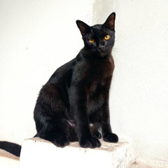 Kritsanaphol Rugruam