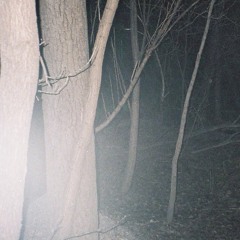 ‎