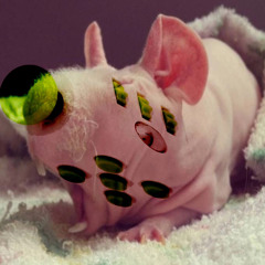 yferkk