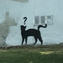 onthelolo