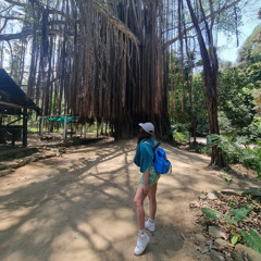 DaniCastañeda