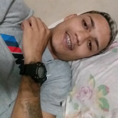 Pitbul do flamengo🚩🥋