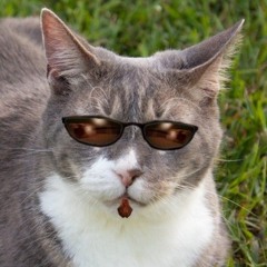 :3