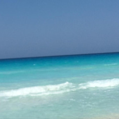 mohamed amr :