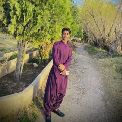 Mir Naseer Rodeni