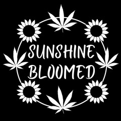 Sunshine Bloomed