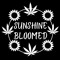 Sunshine Bloomed