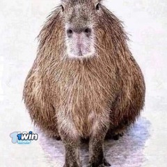 карбюратор