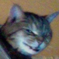 Doctor Forma (DR4MA)