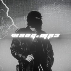 wang.mp3