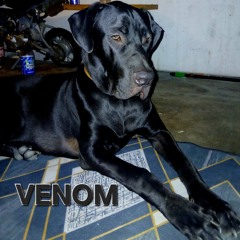 🚧-92-KEPA_KID-7942EFI🚧