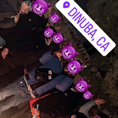 Dumper200
