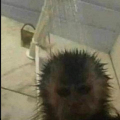 ziLʟAᴋAɪ