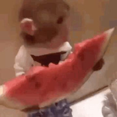 MonkeFan123