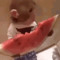 MonkeFan123