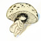 pan mushroom