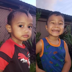 Mendilina