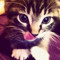 Min ✿