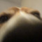 dyn