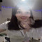 00sahX