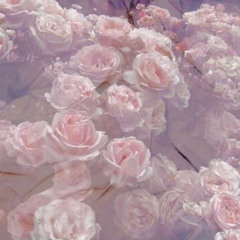 charlotte stanko 457