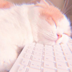 strawberry cat☁️🍓