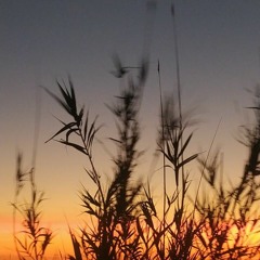 سُهير جميل•°|