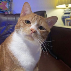 Thomas