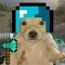 RandomGuyXD