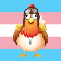 Trans Goondis