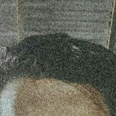 Maulana_Zulmi