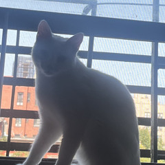 Nick