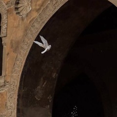 خَـديجـة
