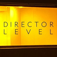 Director Level