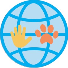 Episode3 - The newcomers owning cat talking with guest Katy