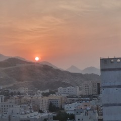 gul