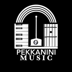 PEKKANINI - theremins and more!