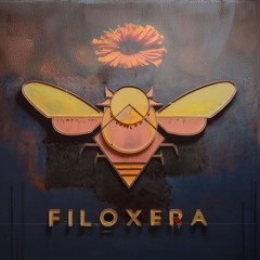 Filoxera