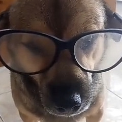 I’m Minh Dao ✪