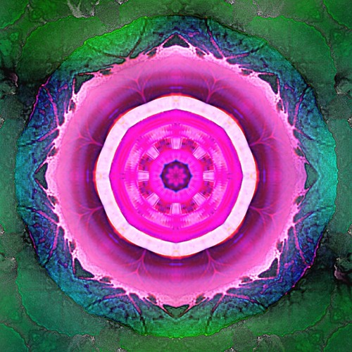 Pink Kale’s avatar