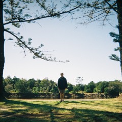 adam harpaz