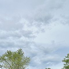 sani archive💿🎧