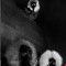 ÐRO