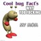 Cool Bug