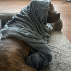 Dante Emanuel Graham