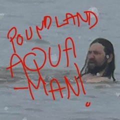 Poundland Aquaman
