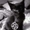 devilmay_cry