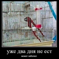 _lukmi_